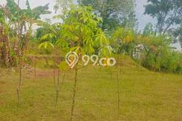Lahan Dijual Lokasi Strategis di Buleleng dengan Luas 1200m2 Lahan Dijual Lokasi Strategis di Buleleng dengan Luas 1200m2