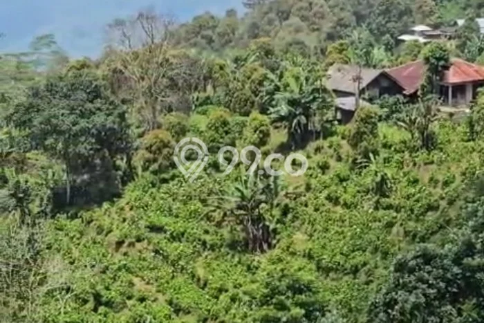 Dijual Tanah Lokasi Wanagiri, Buleleng Seluas 7000m2 Dijual Tanah Lokasi Wanagiri, Buleleng Seluas 7000m2