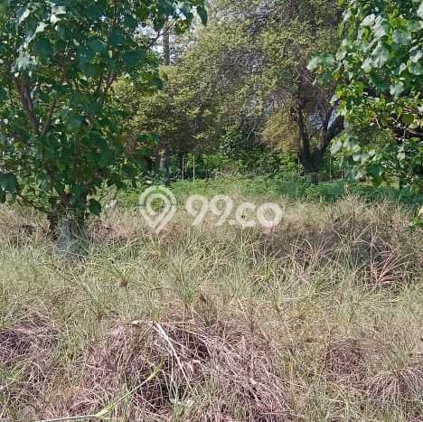 Kavling Tanah di Gerokgak Dijual Luas 25000m2 Legalitas SHM Kavling Tanah di Gerokgak Dijual Luas 25000m2 Legalitas SHM
