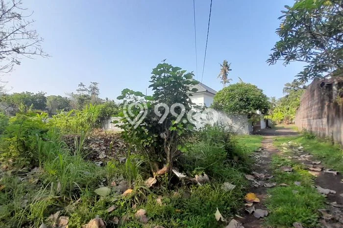 Dijual Tanah Lokasi Prima Kawasan Lovina, Luas 370m2m², Akses Lovina, Buleleng, Buleleng Dijual Tanah Lokasi Prima Kawasan Lovina, Luas 370m2m², Akses Lovina, Buleleng, Buleleng
