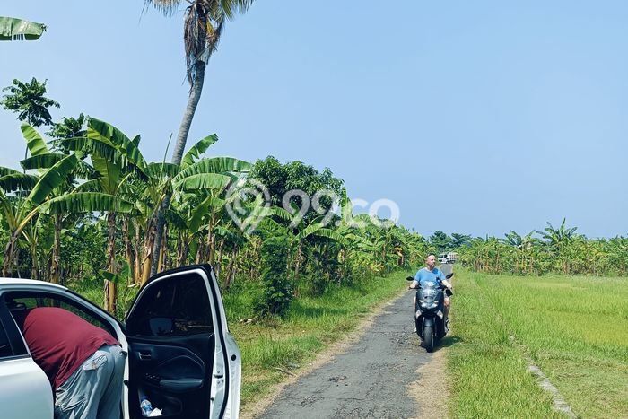 Tanah Dijual di Buleleng Seluas 420m2 Strategis Tanah Dijual di Buleleng Seluas 420m2 Strategis