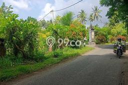Lahan Dijual Lokasi Strategis di Buleleng dengan Luas 4000m2 Lahan Dijual Lokasi Strategis di Buleleng dengan Luas 4000m2