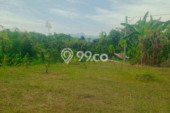 Lahan Dijual Lokasi Strategis di Buleleng dengan Luas 1200m2 Lahan Dijual Lokasi Strategis di Buleleng dengan Luas 1200m2