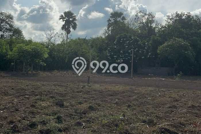 Tanah Dijual Lokasi Gerokgak, Buleleng dengan Luas Tanah 620m2 dan Status SHM Tanah Dijual Lokasi Gerokgak, Buleleng dengan Luas Tanah 620m2 dan Status SHM