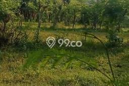 Lahan Kosong Dijual di Gerokgak, Buleleng, Luas 1150m2 Area Strategis Lahan Kosong Dijual di Gerokgak, Buleleng, Luas 1150m2 Area Strategis