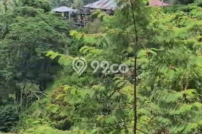 Dijual Tanah Lokasi Wanagiri, Buleleng Seluas 7000m2 Dijual Tanah Lokasi Wanagiri, Buleleng Seluas 7000m2