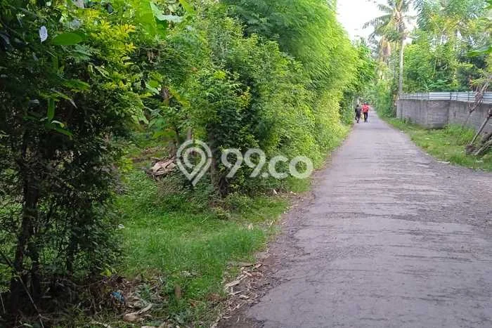 Lahan Kosong Dijual di Gerokgak, Buleleng, Luas 10000m2 Area Strategis Lahan Kosong Dijual di Gerokgak, Buleleng, Luas 10000m2 Area Strategis