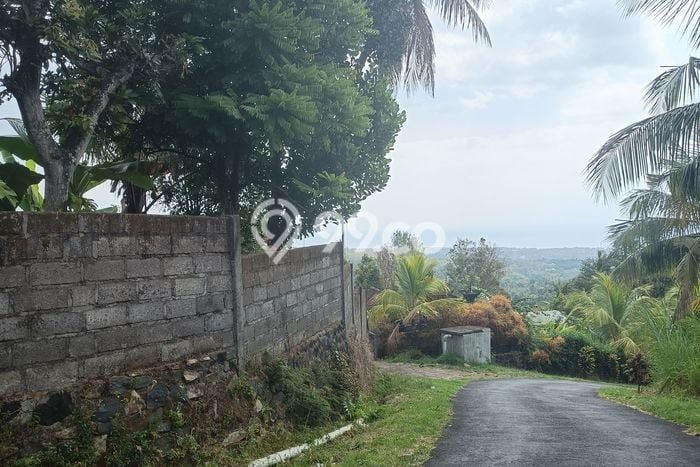 Rumah Idaman 2 KT Hemat Budget di Panji Buleleng Rumah Idaman 2 KT Hemat Budget di Panji Buleleng