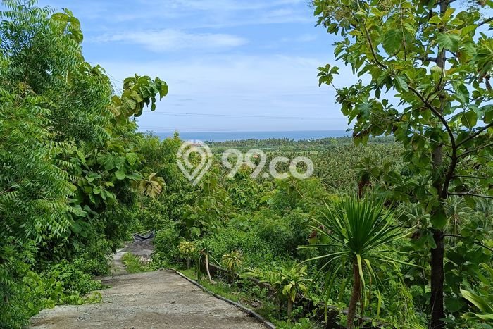Tanah Siap Bangun Dijual di Buleleng Punya Luas 900m2 Tanah Siap Bangun Dijual di Buleleng Punya Luas 900m2