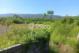 Tanah Kavling Dijual di Dencarik, Buleleng dengan Luas Tanah 390m2 Tanah Kavling Dijual di Dencarik, Buleleng dengan Luas Tanah 390m2