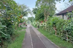 Kavling Tanah untuk Dijual di Pemuteran, Buleleng, Luas 700m2 Kavling Tanah untuk Dijual di Pemuteran, Buleleng, Luas 700m2