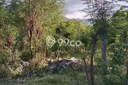 Tanah Dijual di Buleleng Seluas 1000m2 Strategis Tanah Dijual di Buleleng Seluas 1000m2 Strategis