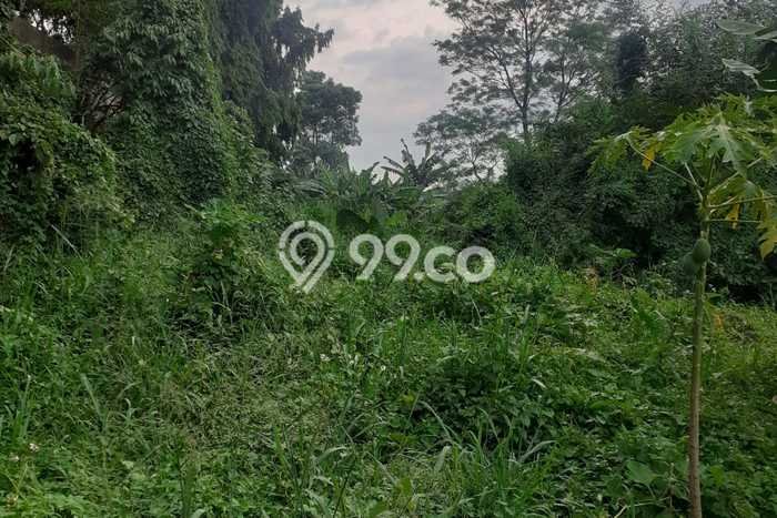 Kavling Tanah Dijual di Cibinong Bogor Spesifikasi 12000m2 Kavling Tanah Dijual di Cibinong Bogor Spesifikasi 12000m2