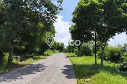 Kavling Tanah di Cibatu Dijual Luas 300000m2 Legalitas SHM Kavling Tanah di Cibatu Dijual Luas 300000m2 Legalitas SHM