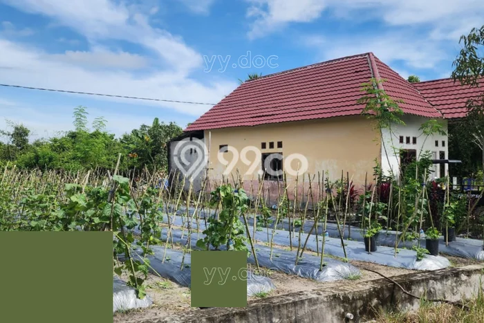 Lahan Kosong Dijual di Penajam Paser Utara dengan Area 1279m2 Lahan Kosong Dijual di Penajam Paser Utara dengan Area 1279m2