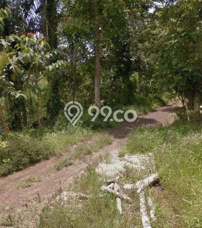 Lahan Strategis di Penebel Dijual dengan Luas 185m2 Lahan Strategis di Penebel Dijual dengan Luas 185m2