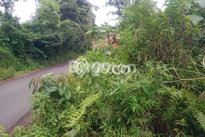 Tanah di Baturiti, Tabanan Luas 200m2 Dijual Segera Tanah di Baturiti, Tabanan Luas 200m2 Dijual Segera