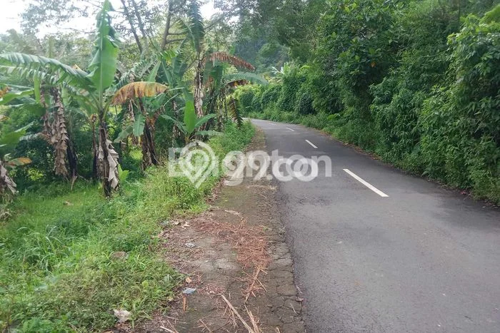 Tanah di Baturiti, Tabanan Luas 200m2 Dijual Segera Tanah di Baturiti, Tabanan Luas 200m2 Dijual Segera