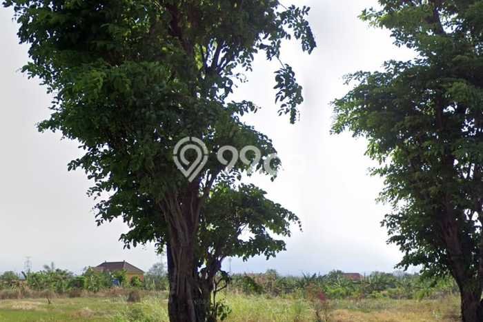 Tanah Kavling untuk Dijual di Wringinanom Gresik 21000m2 Tanah Kavling untuk Dijual di Wringinanom Gresik 21000m2
