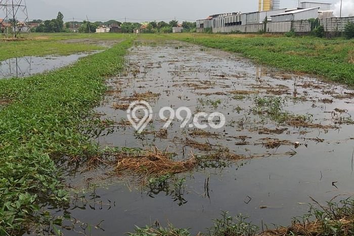 Tanah Lokasi Strategis Kawasan Krian, Luas 70000m2m², Akses ke Fasilitas Umum Tanah Lokasi Strategis Kawasan Krian, Luas 70000m2m², Akses ke Fasilitas Umum
