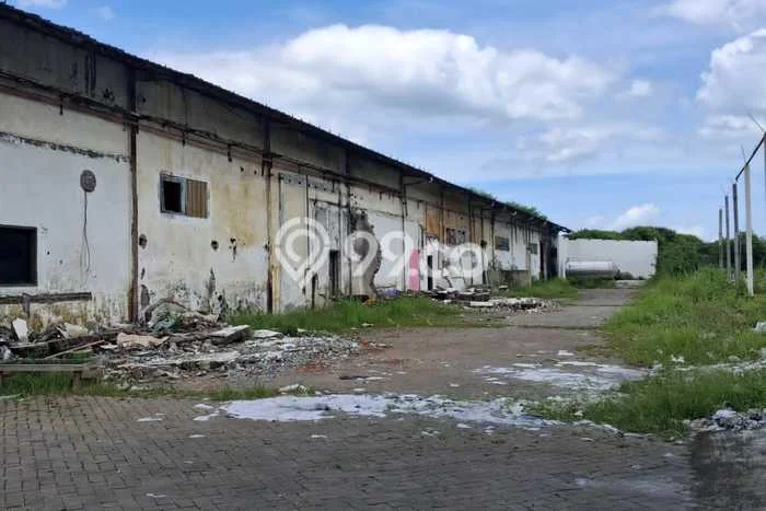 Area Strategis! Disewakan Gudang Lokasi Driyorejo, Gresik Cocok untuk Bisnis Area Strategis! Disewakan Gudang Lokasi Driyorejo, Gresik Cocok untuk Bisnis