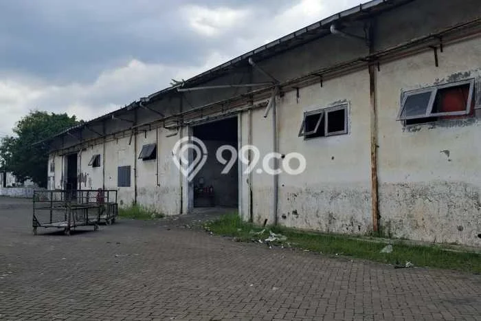Area Strategis! Disewakan Gudang Lokasi Driyorejo, Gresik Cocok untuk Bisnis Area Strategis! Disewakan Gudang Lokasi Driyorejo, Gresik Cocok untuk Bisnis