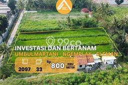 Dijual Tanah di Ngemplak Sleman Luas 2097m2 SHM Dijual Tanah di Ngemplak Sleman Luas 2097m2 SHM