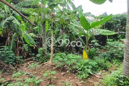 Lahan untuk Dijual di Pancoran Mas Depok Luas 1800m2 Lahan untuk Dijual di Pancoran Mas Depok Luas 1800m2