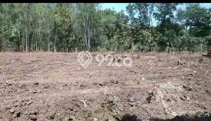 Lahan untuk Dijual Lokasi Nguter, Sukoharjo Luas 1554m2 SHM Lahan untuk Dijual Lokasi Nguter, Sukoharjo Luas 1554m2 SHM
