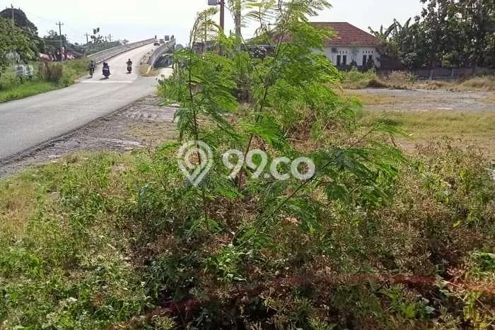 Tanah di Ngemplak, Boyolali Luas 3846m2 Dijual Segera Tanah di Ngemplak, Boyolali Luas 3846m2 Dijual Segera