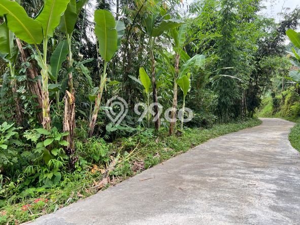 AREA PROSPEKTIF! Tanah di Ngargoyoso, Luas 330m², Akses Transportasi AREA PROSPEKTIF! Tanah di Ngargoyoso, Luas 330m², Akses Transportasi