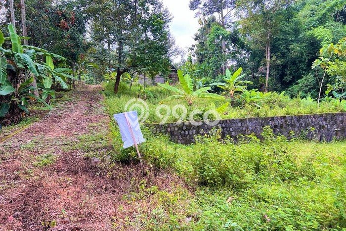 Tanah di Mojogedang, Karanganyar Luas 1591m2 Dijual Segera Tanah di Mojogedang, Karanganyar Luas 1591m2 Dijual Segera