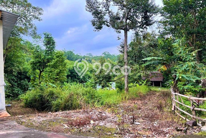 Tanah di Mojogedang, Karanganyar Luas 1591m2 Dijual Segera Tanah di Mojogedang, Karanganyar Luas 1591m2 Dijual Segera