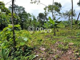 Tanah Komersial Dijual di Mojogedang Karanganyar 403m2 Tanah Komersial Dijual di Mojogedang Karanganyar 403m2