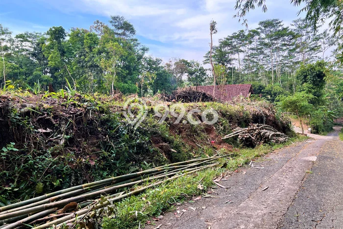 Dijual Tanah Super Datar Cocok Rumah Tinggal, Kebun Buah Dll. Dijual Tanah Super Datar Cocok Rumah Tinggal, Kebun Buah Dll.