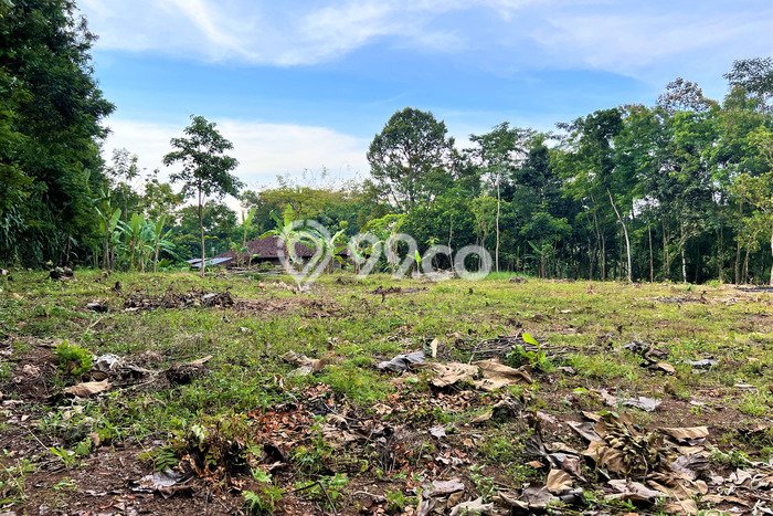 Dijual Tanah Super Datar Cocok Rumah Tinggal, Kebun Buah Dll. Dijual Tanah Super Datar Cocok Rumah Tinggal, Kebun Buah Dll.
