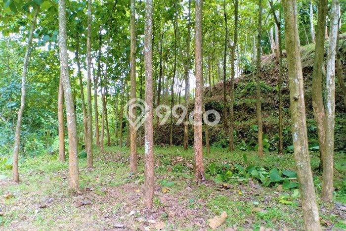 Tanah Area Potensial Kawasan Kerjo, Luas 2324m², Kawasan Asri, Akses Kerjo, Karanganyar, Karanganyar Tanah Area Potensial Kawasan Kerjo, Luas 2324m², Kawasan Asri, Akses Kerjo, Karanganyar, Karanganyar