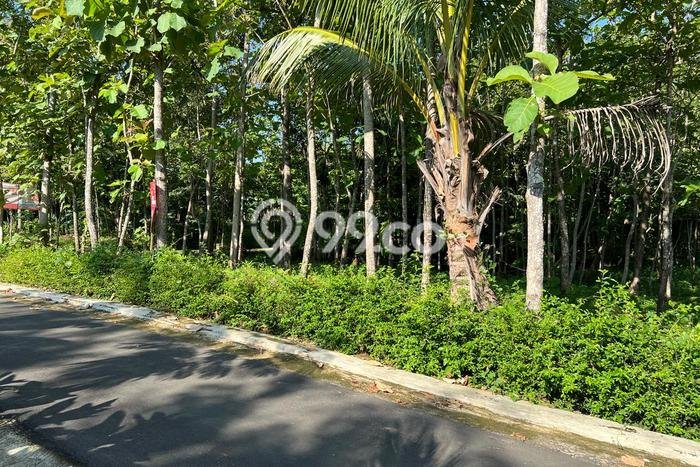 Tanah Kawasan Kerjo, Luas 1101m², Area Komersial Tanah Kawasan Kerjo, Luas 1101m², Area Komersial