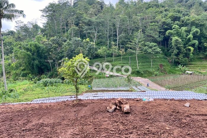 Lahan Strategis di Tawangmangu Dijual dengan Luas 284m2 Lahan Strategis di Tawangmangu Dijual dengan Luas 284m2