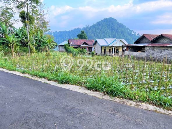 HOT DEAL! Tanah Kawasan Ngargoyoso, Luas 505m², Lokasi Strategis HOT DEAL! Tanah Kawasan Ngargoyoso, Luas 505m², Lokasi Strategis