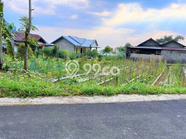 HOT DEAL! Tanah Kawasan Ngargoyoso, Luas 505m², Lokasi Strategis HOT DEAL! Tanah Kawasan Ngargoyoso, Luas 505m², Lokasi Strategis