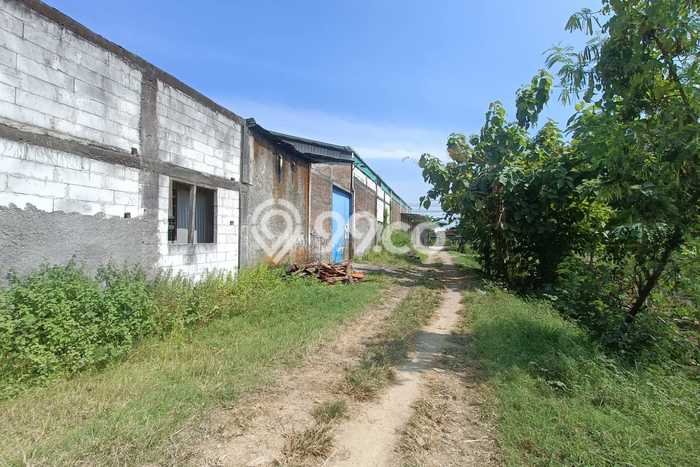 Gudang Dijual Lokasi Emas di Sukoharjo Luas 800m2 Gudang Dijual Lokasi Emas di Sukoharjo Luas 800m2