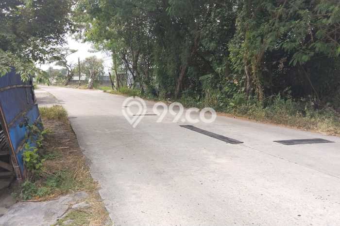 Tanah Kosong Dijual di Klaten dengan Area 1952m2 Tanah Kosong Dijual di Klaten dengan Area 1952m2