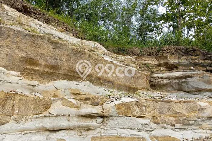 Tanah di Manyaran, Wonogiri Luas 5800m2 Dijual Segera Tanah di Manyaran, Wonogiri Luas 5800m2 Dijual Segera