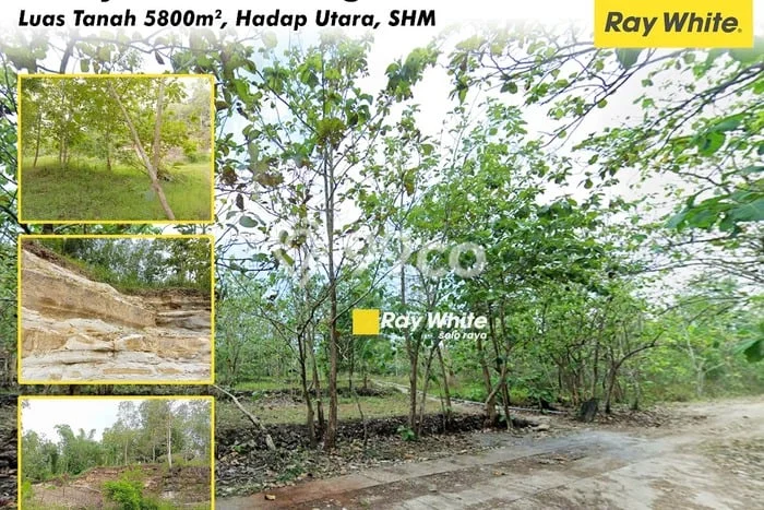 Tanah di Manyaran, Wonogiri Luas 5800m2 Dijual Segera Tanah di Manyaran, Wonogiri Luas 5800m2 Dijual Segera