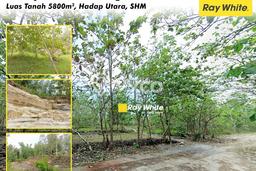 Tanah di Manyaran, Wonogiri Luas 5800m2 Dijual Segera Tanah di Manyaran, Wonogiri Luas 5800m2 Dijual Segera