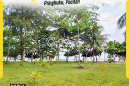 Kavling Tanah Dijual di Pringkuku Pacitan Spesifikasi 1990m2 Kavling Tanah Dijual di Pringkuku Pacitan Spesifikasi 1990m2