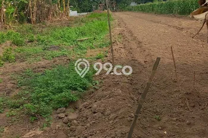 Lahan untuk Dijual di Teras Boyolali Luas 2028m2 Lahan untuk Dijual di Teras Boyolali Luas 2028m2