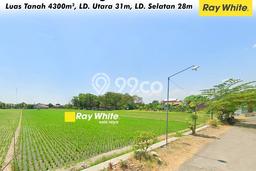 Tanah Kavling untuk Dijual di Grogol Solo 4300m2 Tanah Kavling untuk Dijual di Grogol Solo 4300m2