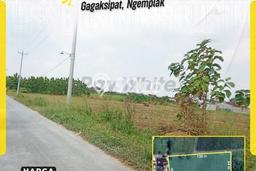 Lahan Dijual Lokasi Ngemplak, Boyolali dengan Luas Tanah 8165m2 dan Status - Lahan Dijual Lokasi Ngemplak, Boyolali dengan Luas Tanah 8165m2 dan Status -